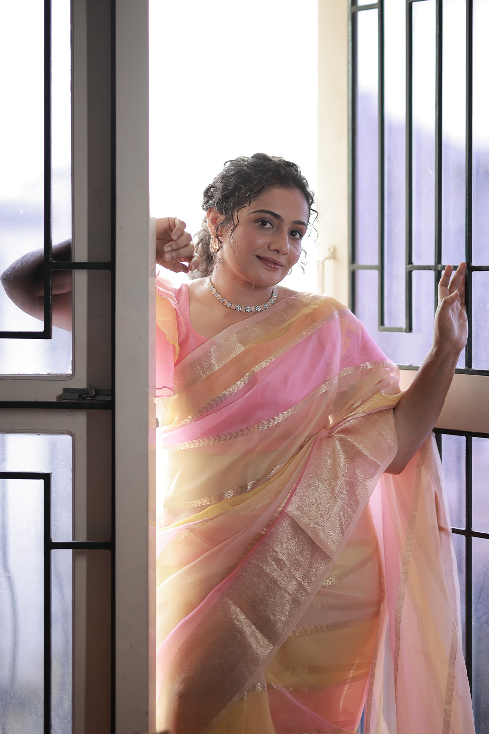 Banarasi Pure Organza Silk Saree