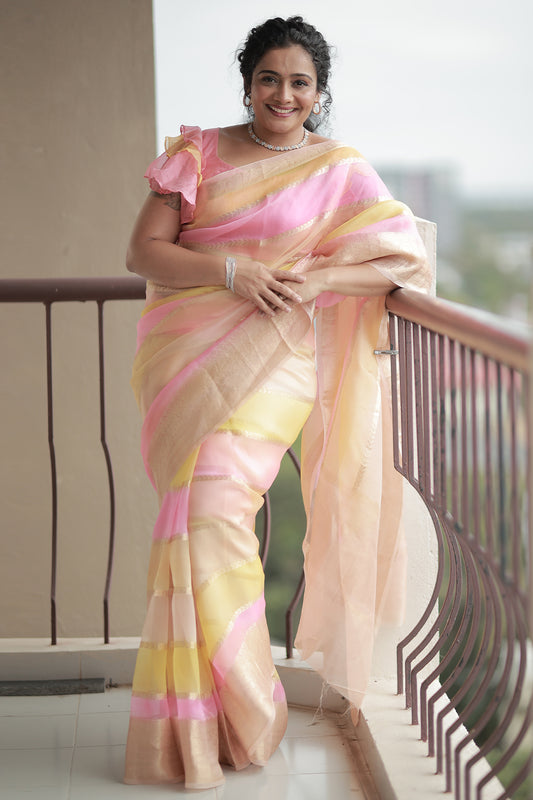 Banarasi Pure Organza Silk Saree