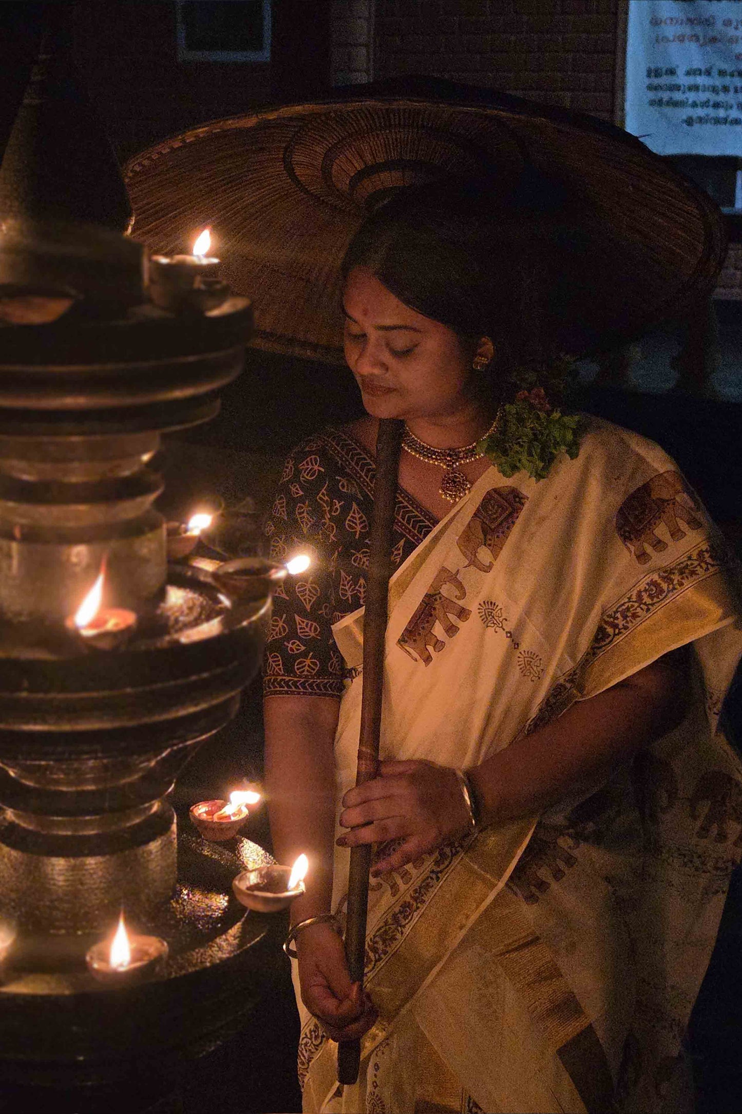 Offwhite Saree with Elephant Print