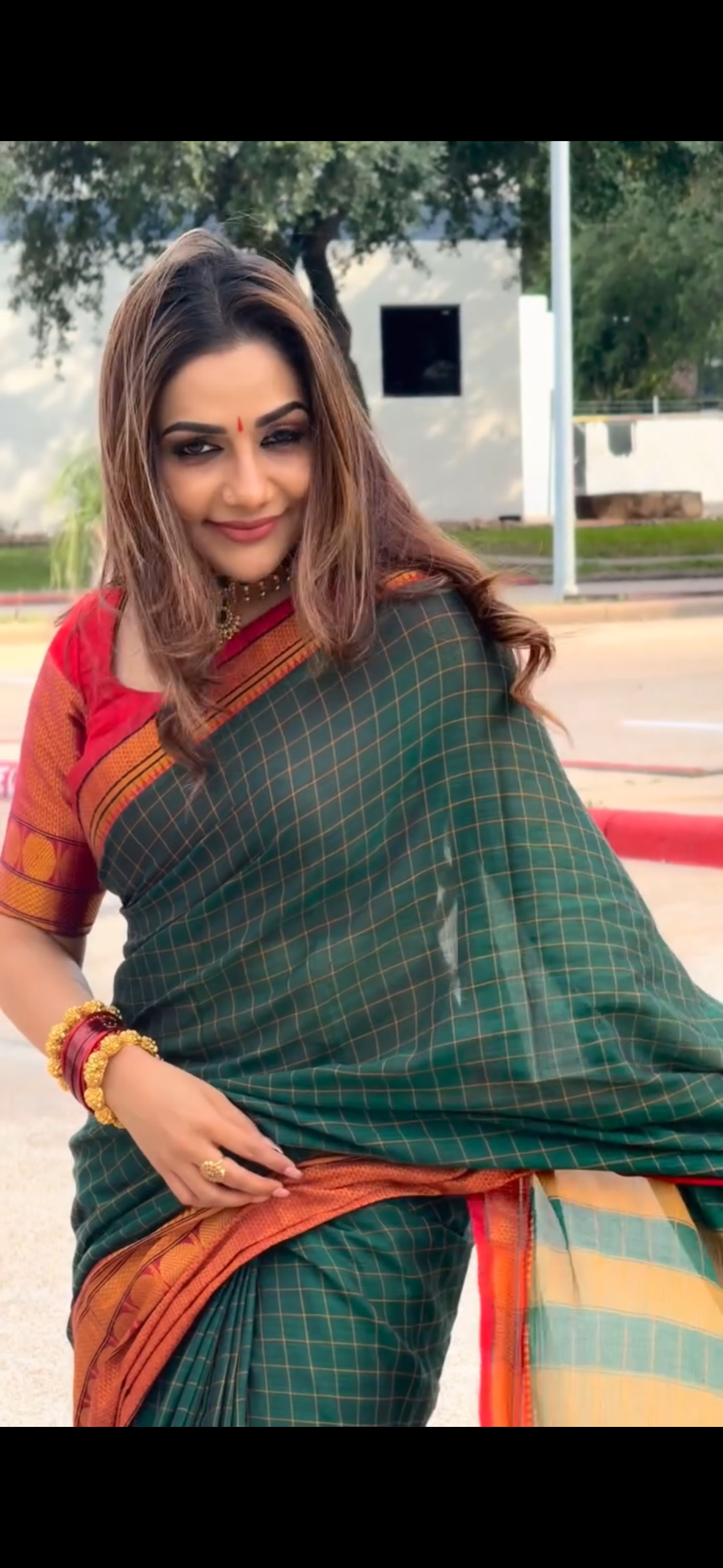 Narayan Pet Green Checked Saree with Big Border