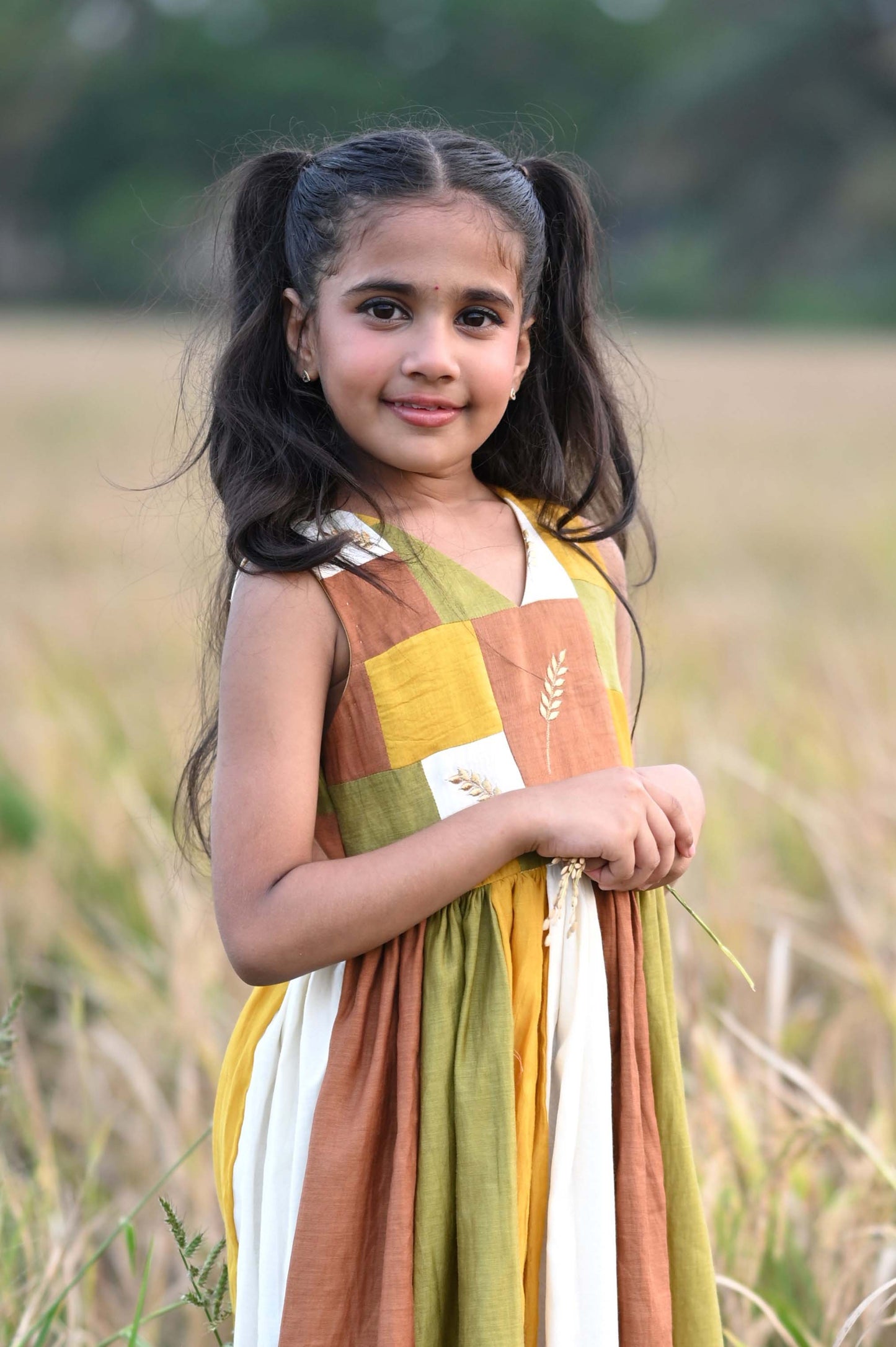 Multi Colour Harvest Dress