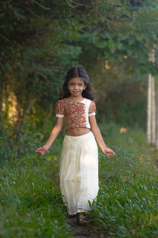 Red Kalamkari Crop Top with Silver Zari Stripped Skirt