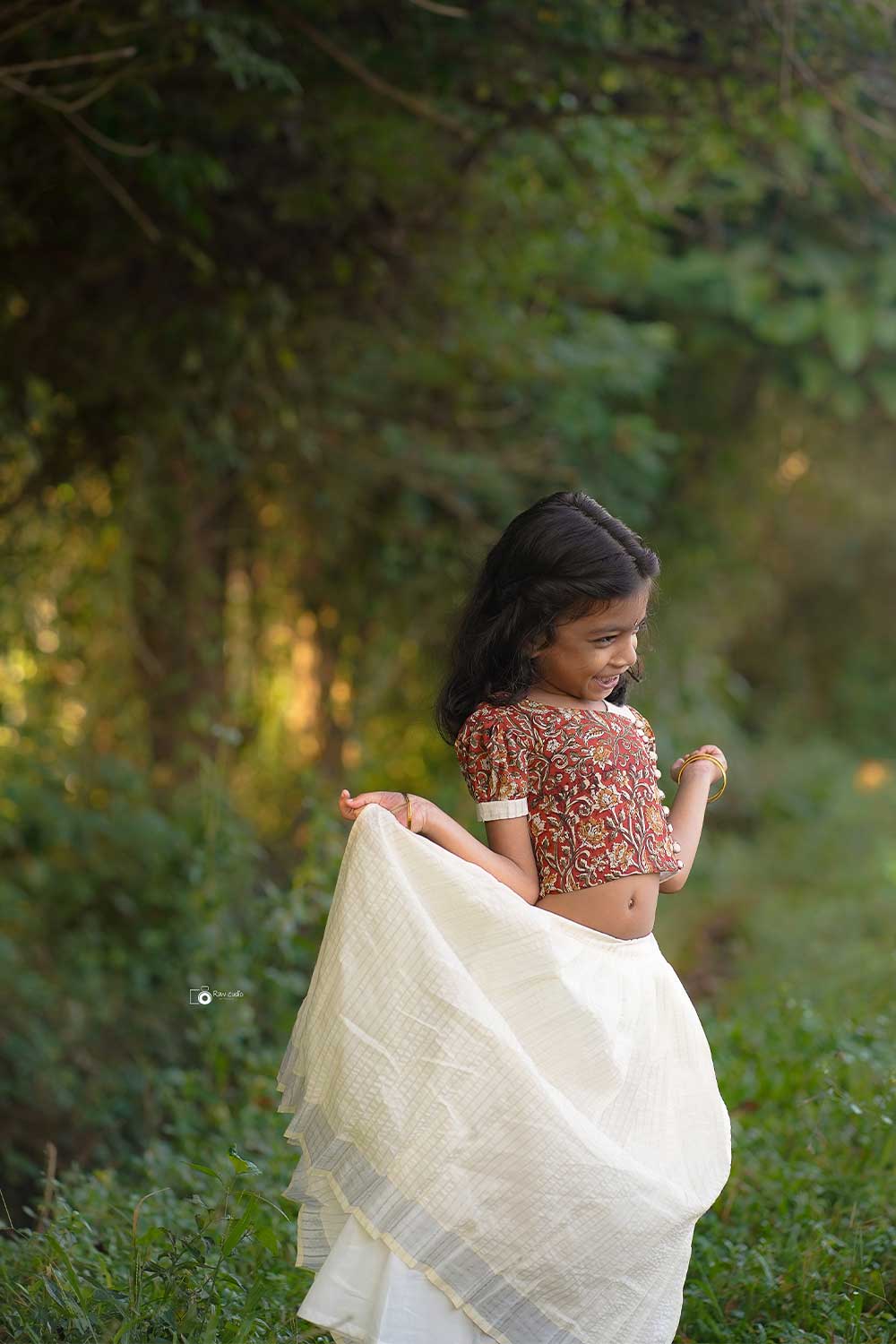 Red Kalamkari Crop Top with Silver Zari Stripped Skirt