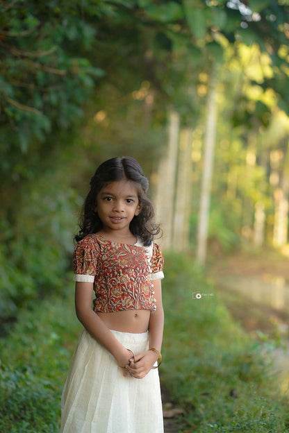 Red Kalamkari Crop Top with Silver Zari Stripped Skirt