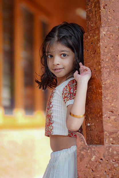 Red Kalamkari Crop Top with Silver Zari Stripped Skirt