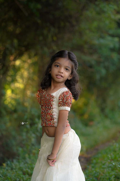 Red Kalamkari Crop Top with Silver Zari Stripped Skirt