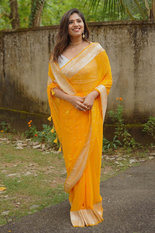 Banarasi Pure Chiffon Orange Banarasi Saree