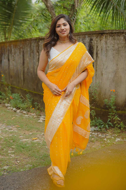 Banarasi Pure Chiffon Orange Banarasi Saree